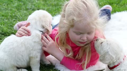 Beautiful little girl playing with a puppy in nature