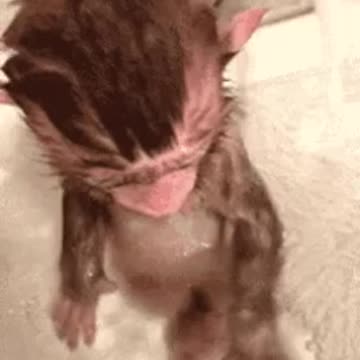 Monkey in the bath 🛀