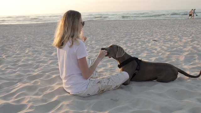 The girl is feeding the dog