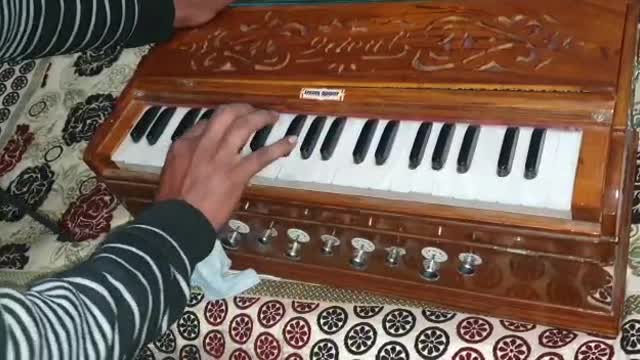 Indian classical harmonium