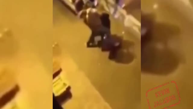 Graphic: Muslims Carjack, Attack French Women And Man