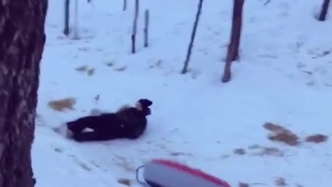 Kid rubber donut hits tree