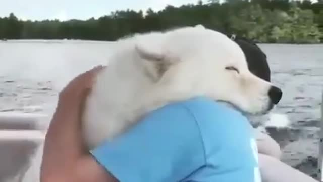 the owner calms the dog, who is afraid of riding a boat