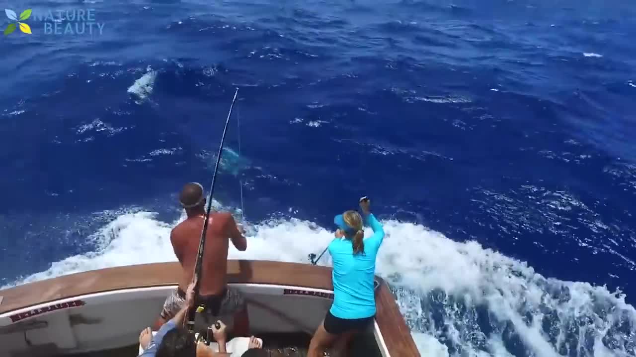 Top 5 Big Fish Caught in The Sea are Recorded By Cameras -Amazing Fishing Skills, Catching Big Tuna