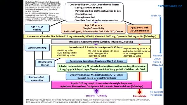 Praktická léčba COVIDu-19, léčba v nemocnici, léčba Omicronu – Dr. Peter McCullough MD, MPH