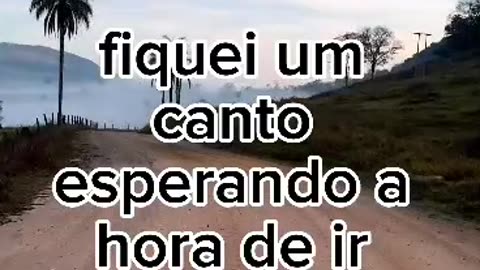 Para Refletir...
