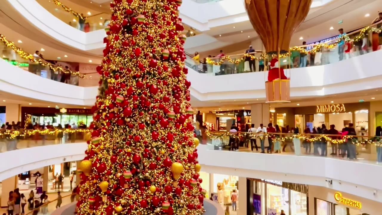 "Spectacular Christmas Tree at One Galle Face, Colombo, Sri Lanka 🎄✨"