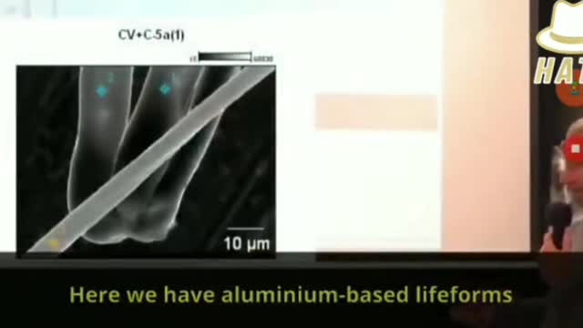 He will explain to you what’s in the jab (subtitles)