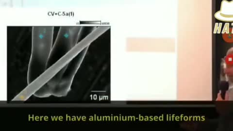 He will explain to you what’s in the jab (subtitles)