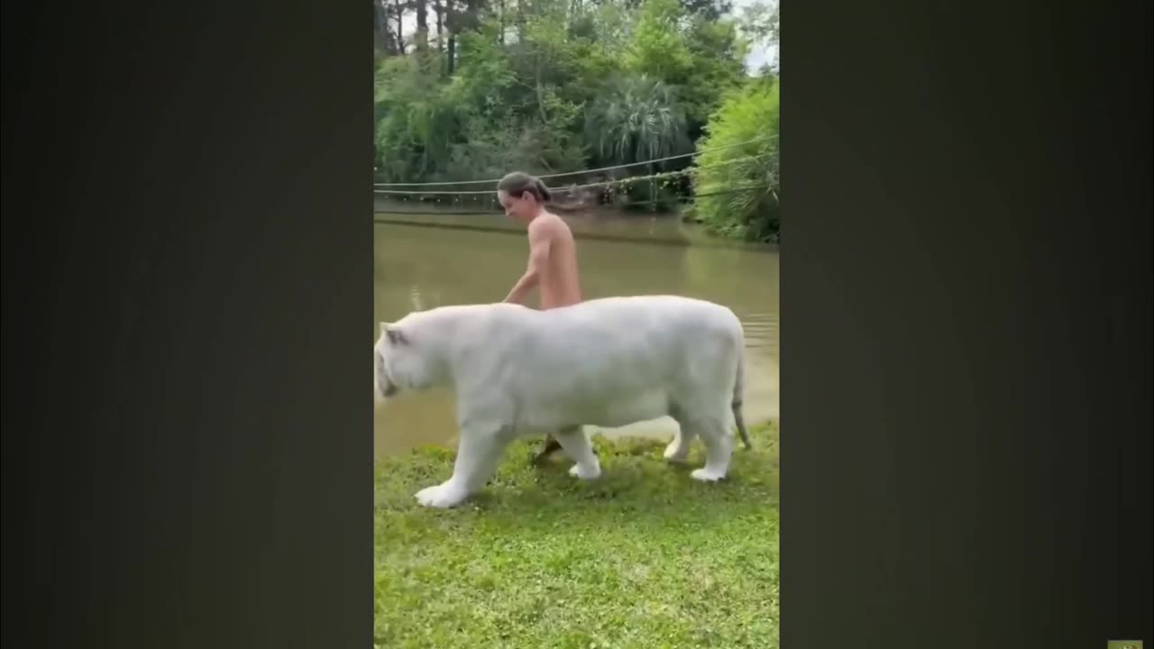 Funniest Animal Videos of the year 2023 - Part 3