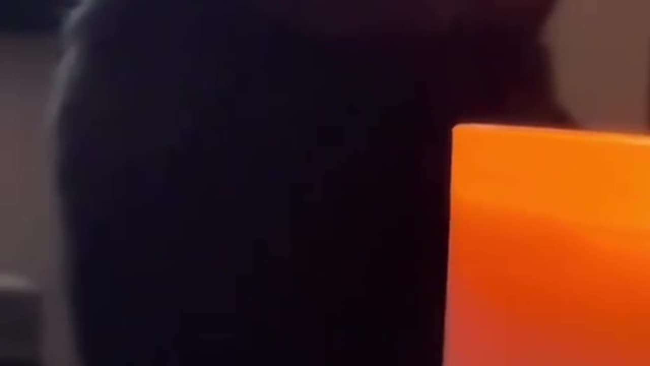 TRY NOT TO LAUGH 😆 Best Funny Videos Compilation 😂😁😆