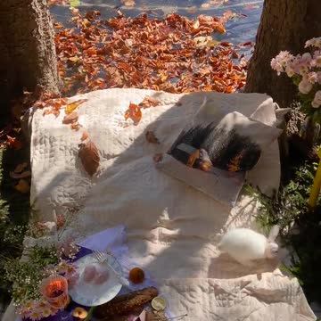 Funny Baby Bunny Rabbit Videos #2 - Cute Rabbits Compilation 2022