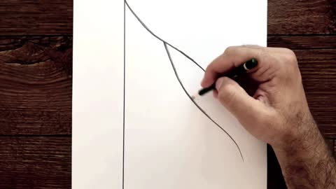 Draw The Line Shape Of A Character's Hair