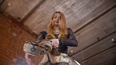 Attractive female circus actress dancing with python in a studio