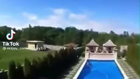 Guy throwing a cat in the pool