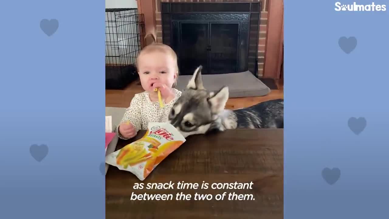 baby and puppy grow up together