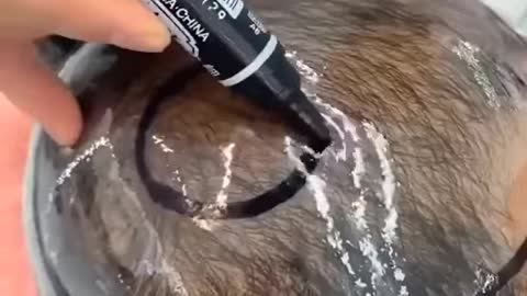 Life is not perfect, but hair can be!