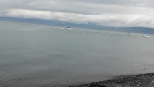 Homer Alaska discussing important things about America and China.