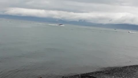 Homer Alaska discussing important things about America and China.