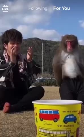 Amazing monkey throw with ease