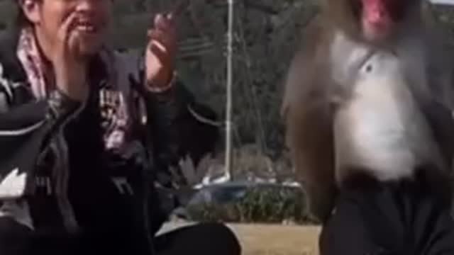 Amazing monkey throw with ease