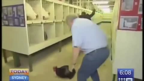 Iconic legendary vine compilation