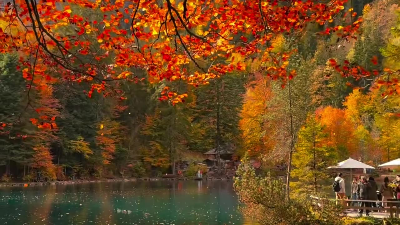 Autumn vibes in the Switzerland 🇨🇭