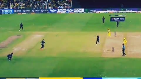 Best Cricket highlights