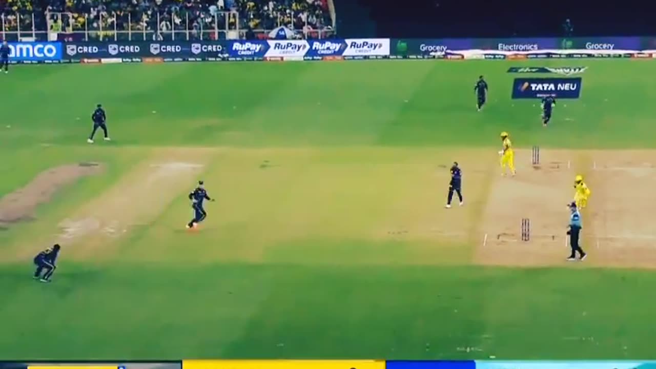 Best Cricket highlights