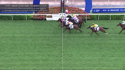 Horse_Race_2022052208_Chinese