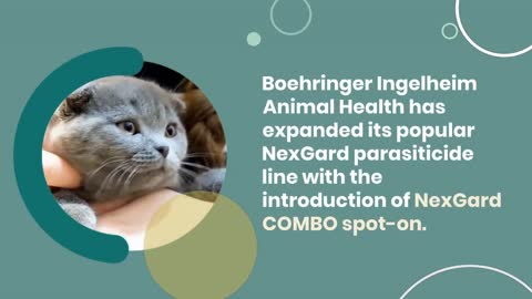 Boehringer Ingelheim Introduces NexGard COMBO Spot-On for Cats