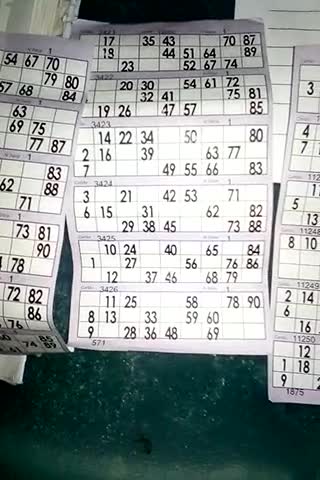 palpite jogo bicho 3