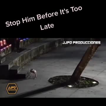 El CGI es asombroso!