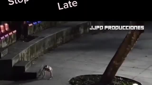 El CGI es asombroso!
