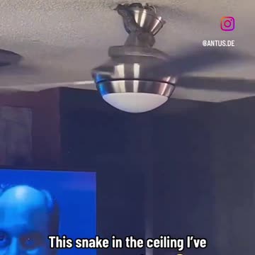Snake In The Ceiling