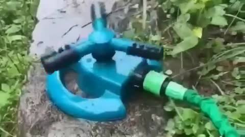 Amazon Home Gadgets