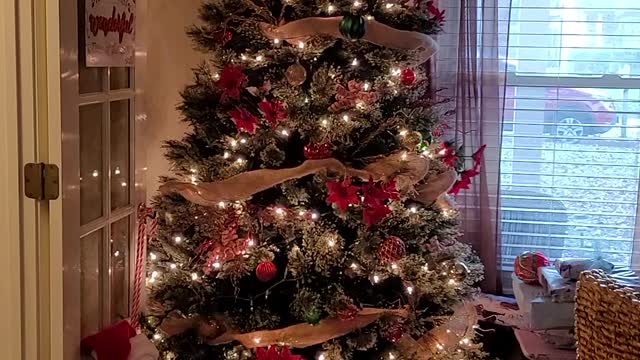 Christmas 2021