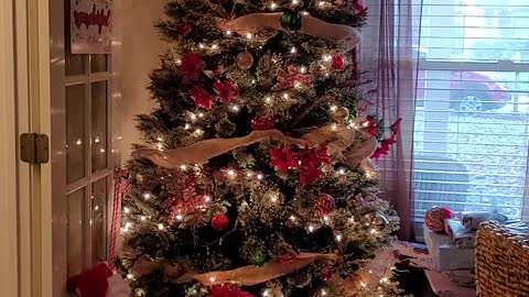 Christmas 2021