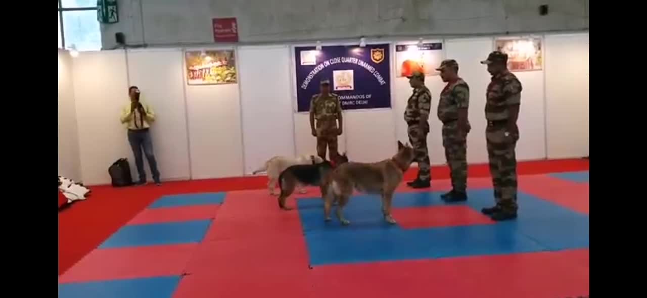 CISF demonstration of Dog squad of India ||