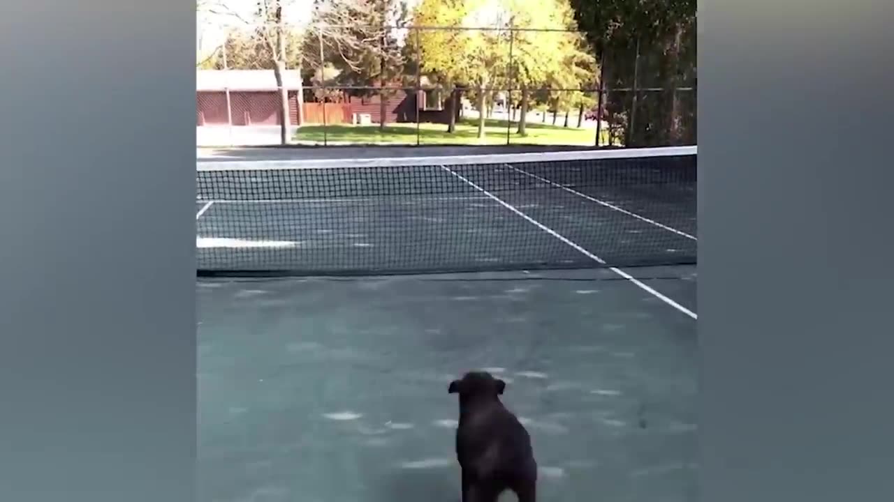 Try not to laugh 😂 funny fails make you can't close your 😺