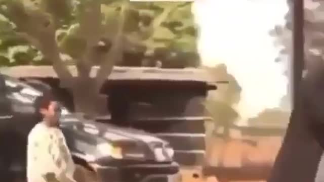 Small boss🤣🤣🤣