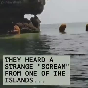 What is this....What do you think