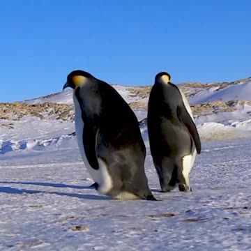 Them are the breaks sometimes