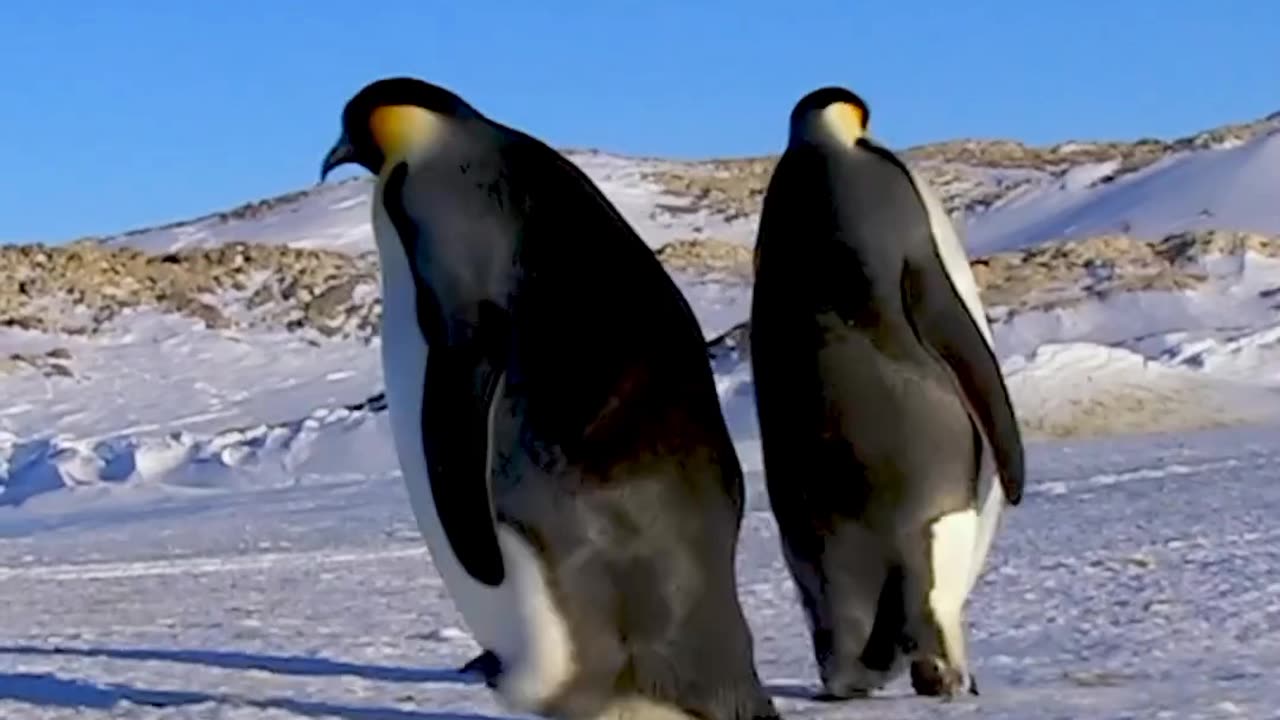 Them are the breaks sometimes