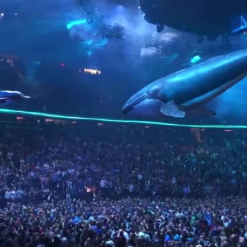 This is how crazy real holograms are