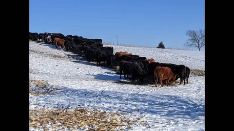 "He has a 1776 Patriot brain in a 2021 body" Dakota Trails & Tales