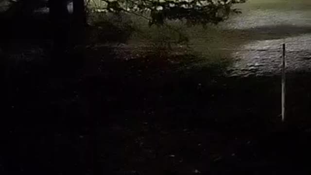 Dance Party at Ohio Emperor Mike DeWine's House, 12/18/20, Part 2 of 2