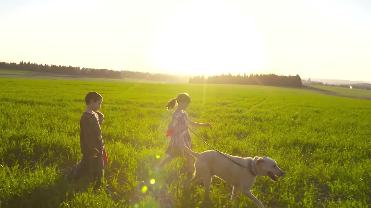 Children Enjoy Their Time With a Dog