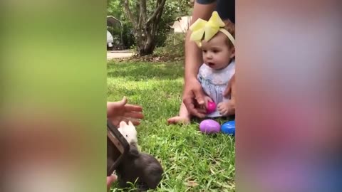 100 cute videos of babies and animals. [Baby and animals ♥]