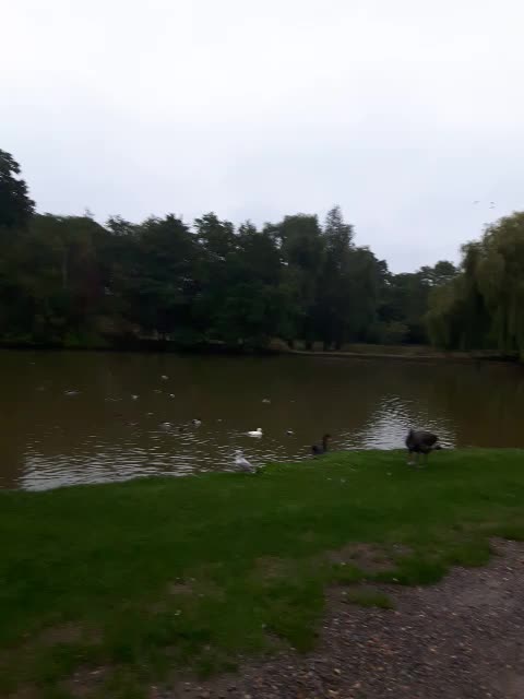 Going to eat my sandwich here today.